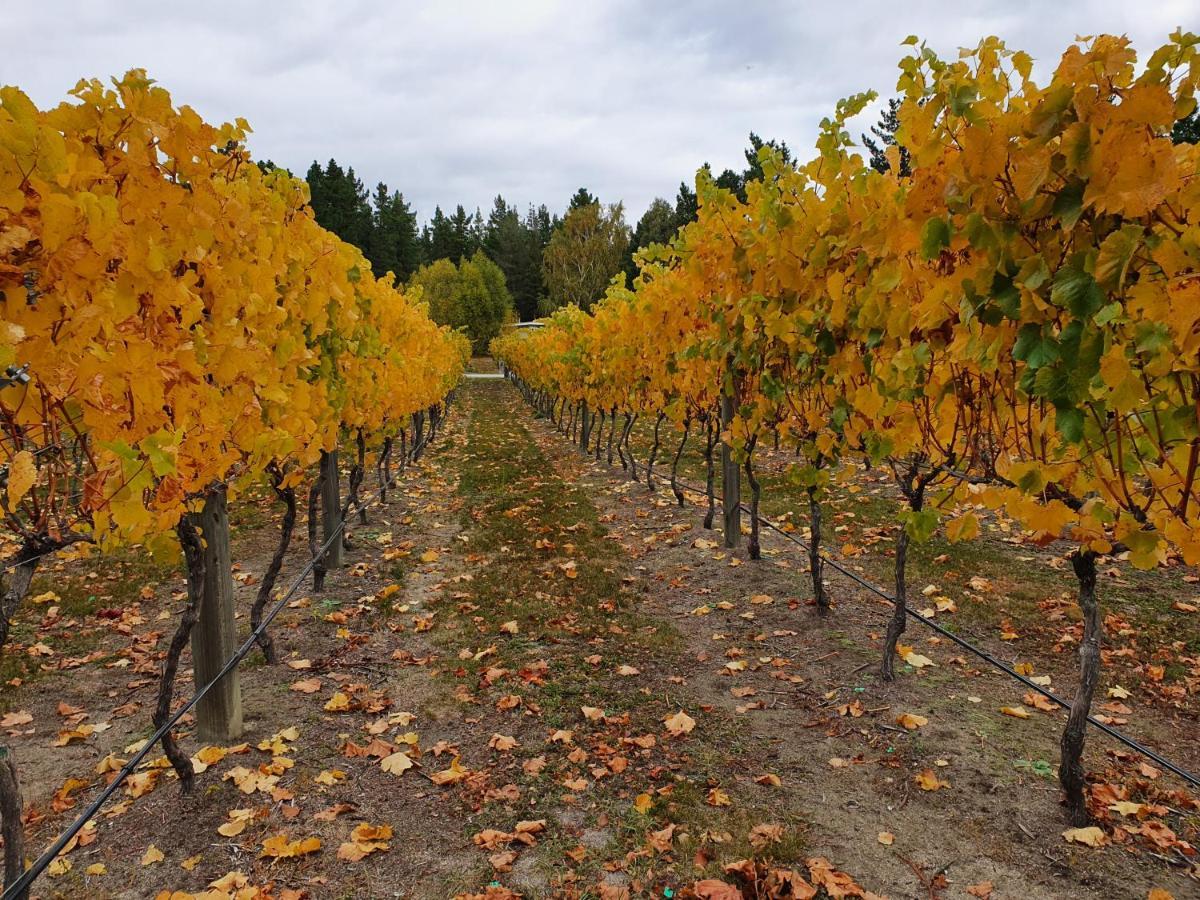 Vines On Bannockburn Bed & Breakfast ครอมเวลล์ ภายนอก รูปภาพ